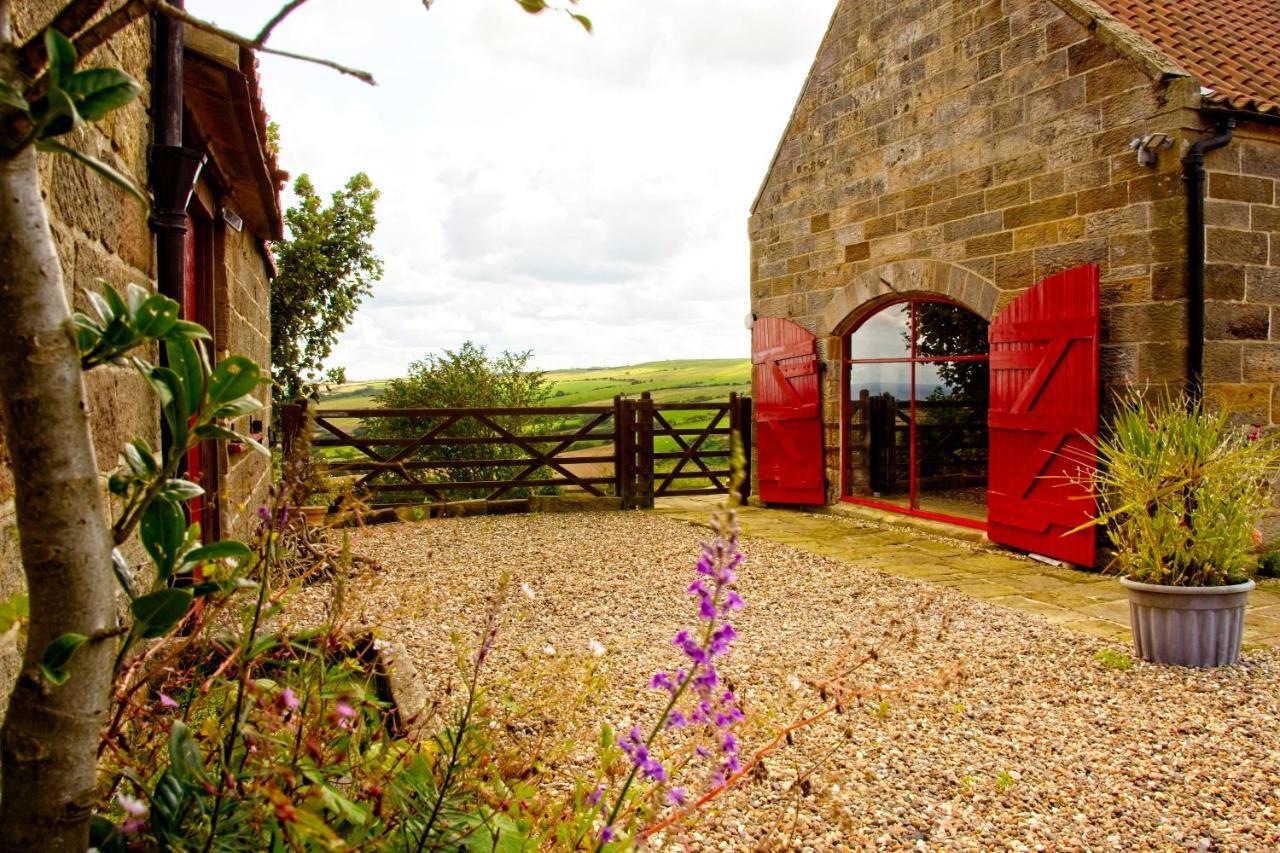 Spangle Cottage, Borrowby Farm Cottages Staithes Bagian luar foto